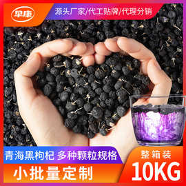 寧夏黑枸杞 珍稀食用農產品的營養與價值