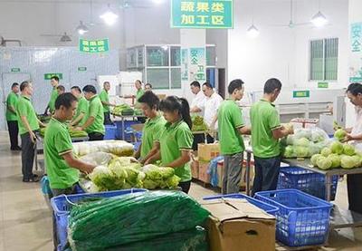 寮步蔬菜配送公司 為工廠食堂提供平價(jià)蔬菜及食用農(nóng)產(chǎn)品配送服務(wù)