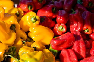 安徽食藥監局多措并舉，扎實推進食用農產品交易市場食品安全規范化建設