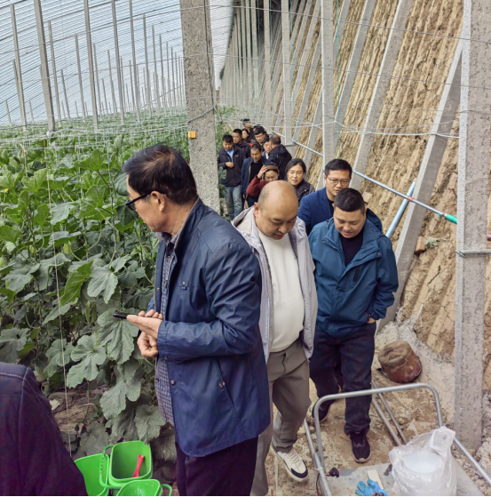 賦能農業合作社，護航舌尖安全——贊華集團助力許昌建安區農產品質量提升培訓項目圓滿結班